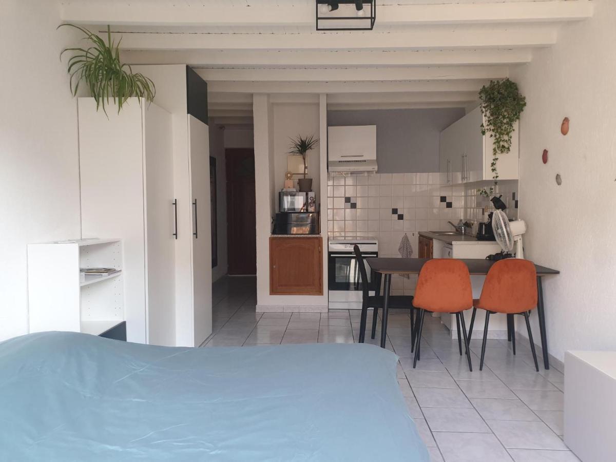Studio Tout Confort Centre Ville - Balcon, Clim, Tv, Wifi Мазан Экстерьер фото